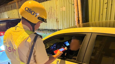 Ho Chi Minh City: Over 11,500 cases of road traffic safety violations.