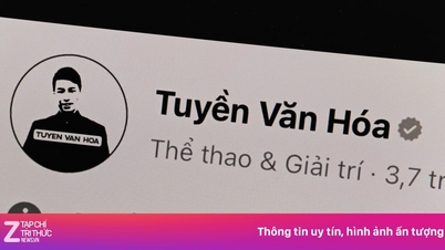 Las páginas de Facebook Tuyen Van Hoa y Beatvn han sido eliminadas.