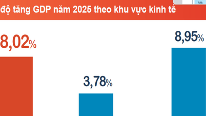 GDP growth in 2025 is projected to be quite strong, reaching 8.02%.