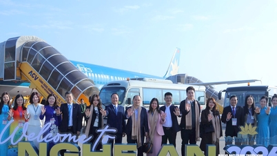 Nghe An province is expected to welcome approximately 350,000 tourists, generating nearly 885 billion VND in revenue during the 2026 New Year holiday.
