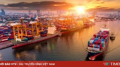 De bbp-groei in 2025 wordt geraamd op 8,02%.