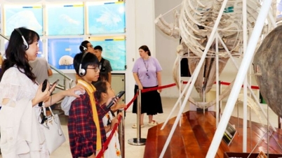 Quang Ninh: ‘Despertar’ el patrimonio y elevar la cultura con la ‘clave’ de la transformación digital.