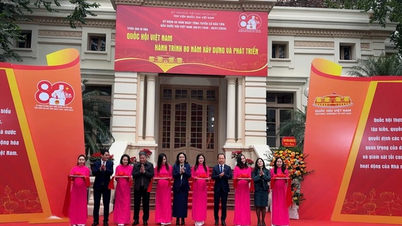 Exposición «La Asamblea Nacional de Vietnam: 80 años de construcción y desarrollo»