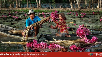 ទេសចរណ៍វៀតណាម៖ សម្រេចបានភ្ញៀវទេសចរអន្តរជាតិចំនួន ២០ លាននាក់ និងសារៈសំខាន់ជាតិ