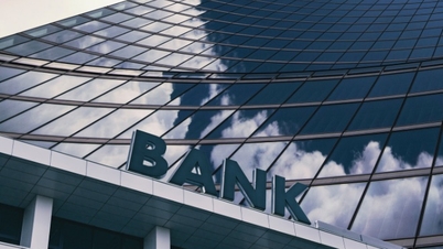 Only credit institutions with a non-performing loan ratio below 3% are eligible to participate in capital contributions or share purchases.