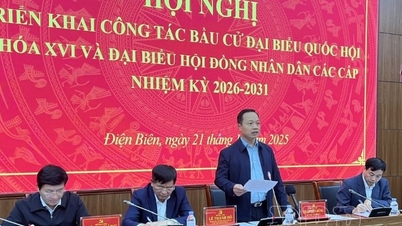 La provincia de Dien Bien ha establecido comités electorales para la elección de representantes al Consejo Popular Provincial de Dien Bien, 16º período, 2026-2031.