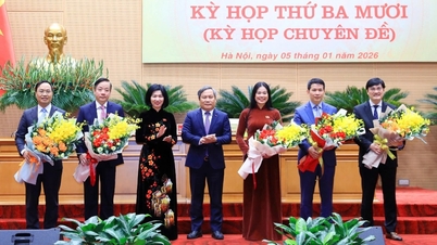 Hà Nội bầu bổ sung nhiều nhân sự mới