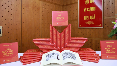 Lansering av boken "80 år av den vietnamesiska nationalförsamlingen - historiska milstolpar"