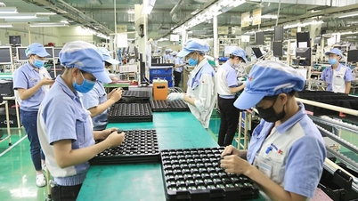 Doanh nghiệp ở Hà Nội có mức thưởng Tết Nguyên đán cao nhất là 614 triệu đồng/người