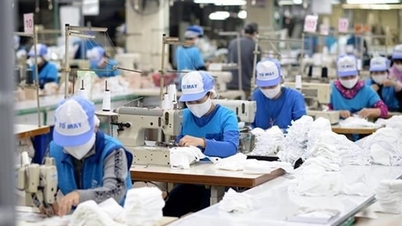 Le revenu moyen des travailleurs en 2025 atteindra 8,4 millions de VND/mois.