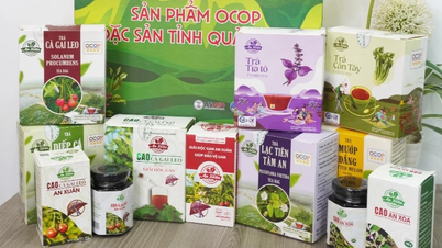 Sản phẩm OCOP 5 sao Quảng Trị xuất khẩu chính ngạch sang Mỹ