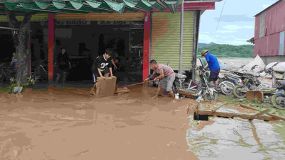 Đà Nẵng khẩn trương xử lý đất cát bồi lấp sau lũ để kịp sản xuất vụ Đông Xuân