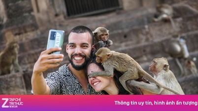 Thái Lan 'chốt sổ' lượng khách 2025