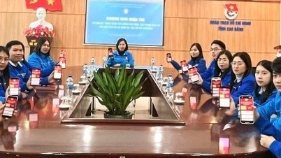 Tuổi trẻ Cao Bằng sôi nổi hưởng ứng Cuộc thi trắc nghiệm trực tuyến tìm hiểu về Bác Hồ - Báo Cao Bằng điện tử