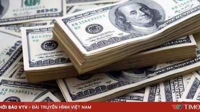 La « montagne » de liquidités de Warren Buffett, qui s'élève à 380 milliards de dollars