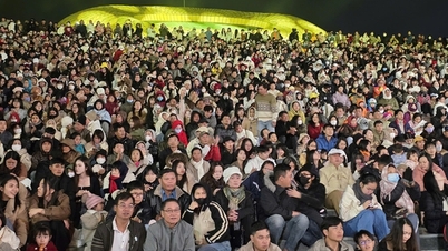Der Tourismussektor der Provinz Lam Dong wird voraussichtlich während der Neujahrsfeiertage 2026 Einnahmen in Höhe von 1,2 Billionen VND erzielen.
