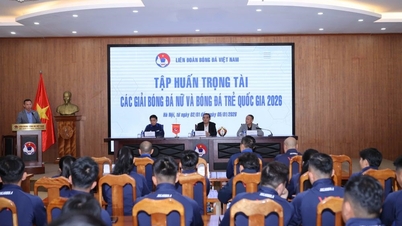 Acto de clausura del curso de formación de árbitros de las ligas nacionales de fútbol femenino y juvenil 2026.