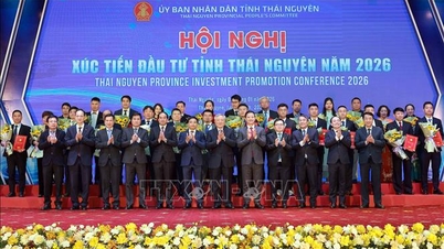 Thai Nguyen hält unbeirrt an seinem Ansatz der „drei Neins“ zur Anwerbung von Investitionen fest.