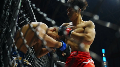 ក្បាច់គុនចម្រុះវៀតណាម (MMA) ឈានដល់សង្វៀនទ្វីប