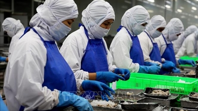 Les capitaux supplémentaires injectés dans l'économie ont augmenté de près de 78 %.