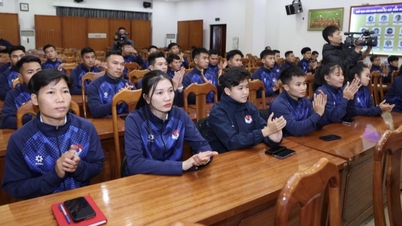 Không có trọng tài bị trượt lý thuyết, chỉ có 1 trường hợp không đạt thể lực do chấn thương