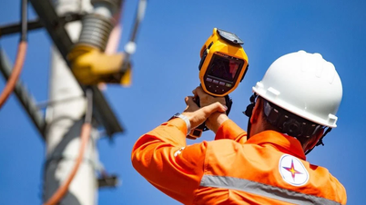 Pourquoi la croissance de la production d'électricité sera-t-elle inférieure à la croissance du PIB en 2025 ?
