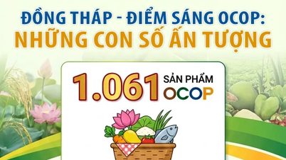 [Infografic] Dong Thap - Un punct luminos în OCOP: Cifre impresionante