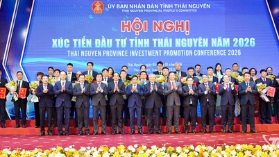 Provincia Thai Nguyen acordă certificate de investiții și angajamente pentru 31 de proiecte cu un capital total de 4,4 miliarde USD.