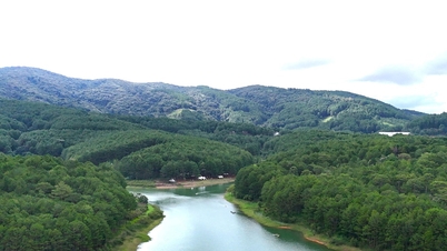 La provincia de Lam Dong anuncia una línea directa de guardabosques móviles y fortalece la protección forestal.