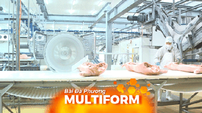 Businesses will accelerate production starting in early 2026.