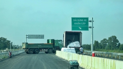 Can Tho ile Ca Mau arasındaki kuzey-güney otoyol bölümünün acilen tamamlanması gerekmektedir.