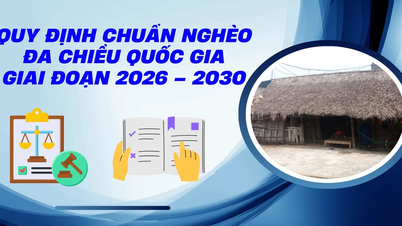 [Infographie] Normes nationales de pauvreté multidimensionnelle pour la période 2026-2030