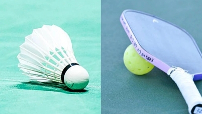 Angesichts der steigenden Preise für Badminton-Federbälle wechseln die Spieler zunehmend zum Pickleball.