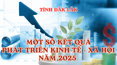 (Infographic) Một số kết quả phát triển kinh tế - xã hội tỉnh Đắk Lắk năm 2025