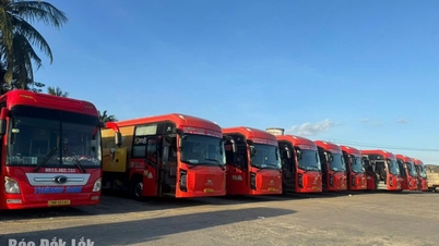 Ontwikkel proactief plannen om passagiers tijdens vakanties en Tet (Vietnamees Nieuwjaar) van dienst te zijn.