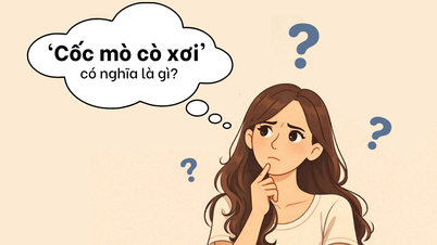 Hva betyr 'Cốc mò cò xơi'?