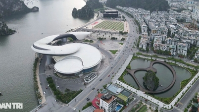 Die Provinz mit dem stärksten Wirtschaftswachstum wurde ermittelt, wobei überraschenderweise auch Hanoi und Ho-Chi-Minh-Stadt darunter sind.