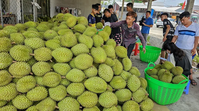 កត់ត្រាការនាំចេញ និងបញ្ជាក់ជាថ្មីនូវជំហររបស់ខ្លួនជាសសរស្តម្ភនៃសេដ្ឋកិច្ច។