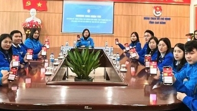 Unge mennesker i Cao Bang deltar entusiastisk i nettquizkonkurransen om president Ho Chi Minh.