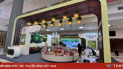 สร้างสรรค์นวัตกรรมในการส่งเสริมการค้าสินค้าเกษตรและขยายเครือข่ายความเชื่อมโยงทางการตลาดระหว่างประเทศ