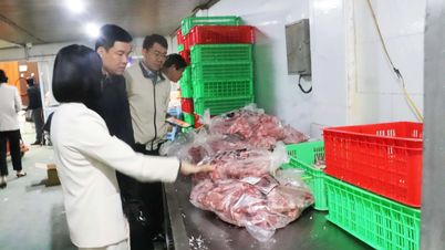 Hà Nội tăng cường hậu kiểm an toàn thực phẩm