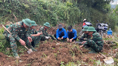 Forestry Station 156 follows the "3 close ties, 4 shared experiences" principle with the local people.