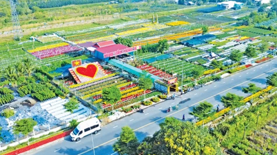 บทสนทนาหลังไฟดับลงในงานเทศกาลดอกไม้และไม้ประดับประจำปี 2025