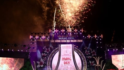Mang Den Culture and Tourism Week 2026: 'Pink hues amidst the vast forest' - A journey to awaken emotions and aspirations for growth.