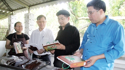Bac Ninh: Meniru amalan terbaik di kawasan etnik minoriti dan menggalakkan gerakan emulasi.