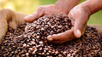 Harga kopi di Gia Lai dan Dak Lak adalah yang tertinggi di negara ini pada 6 Januari.