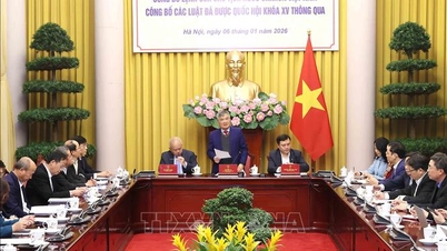 Announcement of the President's Order on 12 Laws