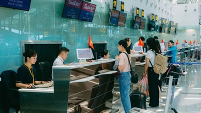 다낭 공항 활주로 보수 공사에 투자하자는 제안.