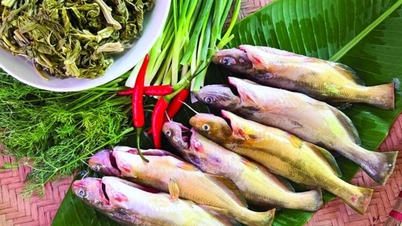 Di wilayah Muong: 'Ikan raksasa' Sungai Da dalam pesta daun Muong.