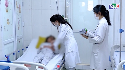 Warning: 3 infectious diseases are on the rise as Tet approaches.